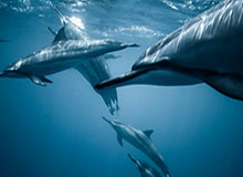 苏超第10轮三场比赛连续爆冷，“太湖三宝”支棱起来了！